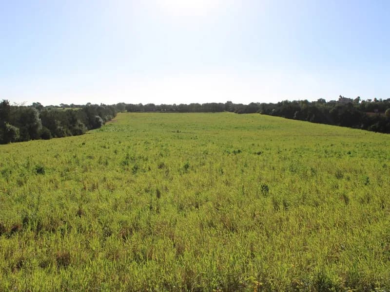 Country house with 73,000 m² and great potential near the east coast — 2