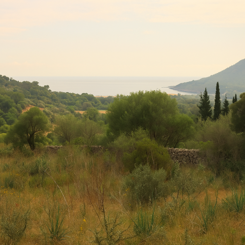 Mallorca Alpha Estates le ofrece una vista única sobre la costa de Son Servera